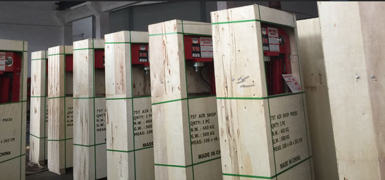pressa idraulica 50tonne con il calibro